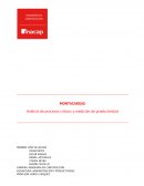 INFORME ADMINISTRACION Y PRODUCTIVIDAD