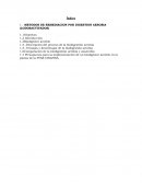 METODOS DE REMEDIACION POR DIGESTION AEROBIA (LODOSACTIVADOS)