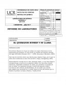 Informe quemador bunsen