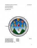 METODOLOGIA CIENTIFICA El aborto en el ámbito social