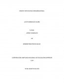 ENSAYO PSICOLOGIA ORGANISACIONAL