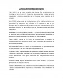 Cultura: diferentes conceptos