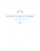 VISTA DE FLUJO DE SISTEMA Organigrama de Actividades