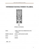 Aspecto politico portugal