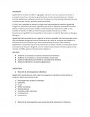 AgroBioTek. Tegucigalpa