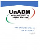 Explicar de forma breve (un párrafo) ¿por qué la célula es la unidad elemental para la vida?