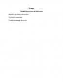 Reglas y posiciones del baloncesto