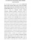 ACTA CONSTITUTIVA Y ESTATUTARIA DEL CONSEJO CAMPESINO COLECTIVO RIO IPIRE
