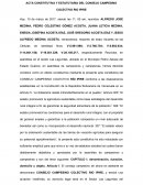 Acta constitutiva y estatutaria del consejo campesino colectivo Rio Ipire