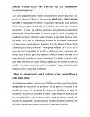 LINEAS PRAGMATICAS DEL PARTIDO DE LA LIBERACION DOMINICANA (PLD)