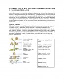 Condimentos en carnes
