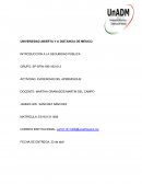 Actividad. Evidencias del aprendizaje. Introducción a la Seguridad Pública