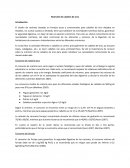 Nutrición caballos de ocio