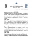 NEURONAS ¿Cuántas neuronas tienen los seres humanos?