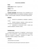 Plan de clase: Cuadriláteros