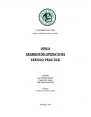 IFRS 8 SEGMENTOS OPERATIVOS