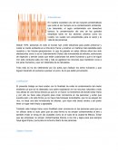 Antecedentes En nuestra sociedad una de las mayores problemáticas que sufre el ser humano es la contaminación ambiental