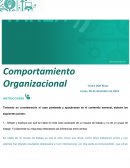 Comportamiento Organizacional