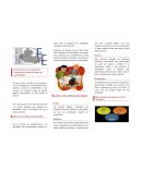 Reflexión sobre cómo adaptar las prácticas docentes a los diferentes estilos y ritmos de aprendizaje de los alumnos