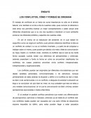 ENSAYO "LOS CONFLICTOS, CÓMO Y PORQUÉ SE ORIGINAN"