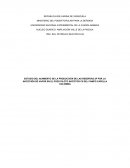 ESTUDIO DEL AUNMENTO DE LA PRODUCCIÓN DE LAS RESERVAS 2P POR LA INYECCIÓN DE VAPOR EN EL POZO PILOTO INYECTOR C5 DEL CAMPO CAPELLA COLOMBIA