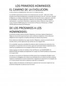 LOS PRIMEROS HOMINIDOS EL CAMINO DE LA EVOLUCION