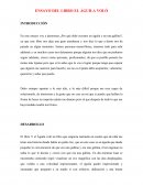 ENSAYO DEL LIBRO EL ÁGUILA VOLÓ