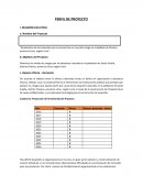 PERFIL DE PROYECTO Gastos no deducibles