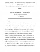 DETERMINACIÓN DE LA DENSIDAD DE LÍQUIDOS, SÓLIDOS REGULARES E IRREGULARES