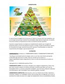 El requerimiento energético de una persona en reposo se conoce como tasa metabólica, que es la energía necesaria para mantener las actividades vitales básicas