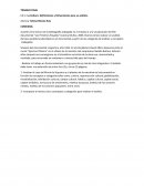 La Cultura: Definiciones y Dimensiones para su análisis