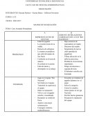 Caso Armando Primadonna