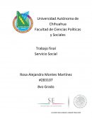 Terminación de mi Servicio Social