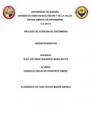 PROCESO DE ATENCION DE ENFERMERIA GERONTOGERIATRIA