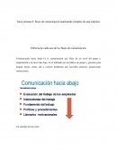 Tarea semana 8: flujos de comunicación analizando ejemplos de una empresa