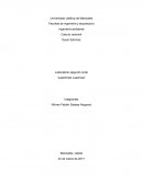 Facultad de ingeniería y arquitectura Ingeniería ambiental