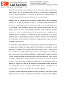 Bienestar debe ser lo primordial para la sociedad