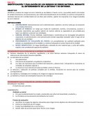 IDENTIFICACIÓN Y EVALUACIÓN DE LOS RIESGOS DE ERROR MATERIAL MEDIANTE EL ENTENDIMIENTO DE LA ENTIDAD Y SU ENTORNO