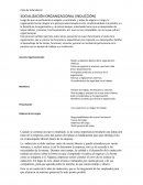 Ciclo de Vida laboral. SOCIALIZACIÓN ORGANIZACIONAL (INDUCCIÓN)