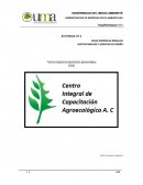 SUSTENTABILIDAD Y MODELOS DE DISEÑO