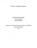 Laboratorio N° 3 presentado al docente Gonzalo Becerra, en la asignatura Electricidad y Magnetismo