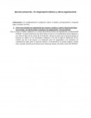 Ejercicio semana No. 01. Organización efectiva y cultura organizacional