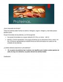 Proteinas.¿Qué compuestos las forman?