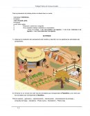 Observar la ilustración del campamento del neolítico y describir con tus palabras las actividades del campamento
