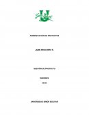 Administración de proyectos. Gestión de proyecto