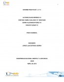 Informe Laboratorio FÍSICA GENERAL