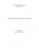 Características de la litósfera, hidrósfera, atmósfera y sus diferencias