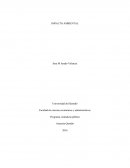 IMPACTO AMBIENTAl- ECOSISTEMA- SOSTENIBILIDAD