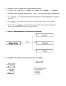 Esamen de informatica