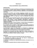 Tipos de reacciones en los compuestos organicos